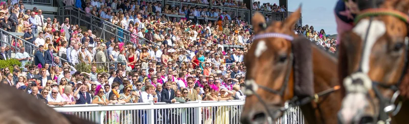 Ladies Day - Ffos Las Racecourse