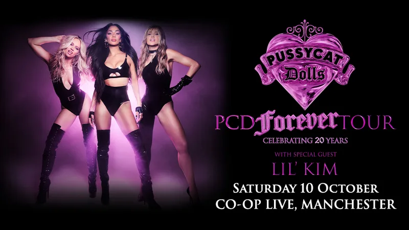 The Pussycat Dolls