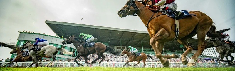 Festival Day 1 - Brighton Racecourse