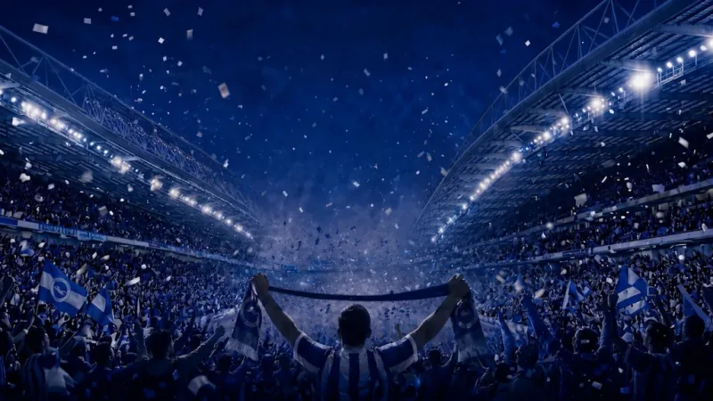Stand or Fall - The Fall and Rise of Brighton and Hove Albion