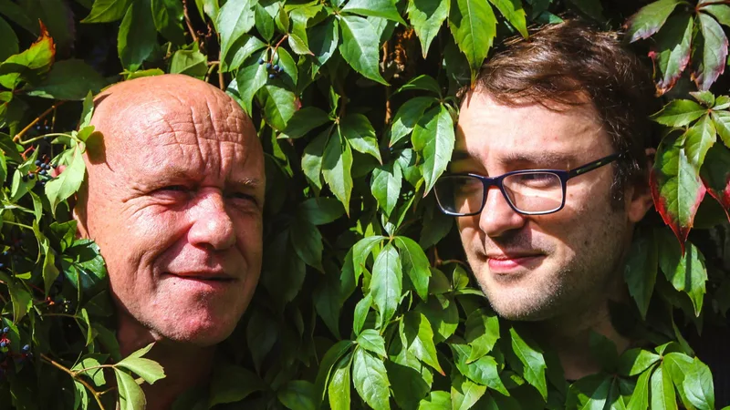 The Orb + Ozric Tentacles
