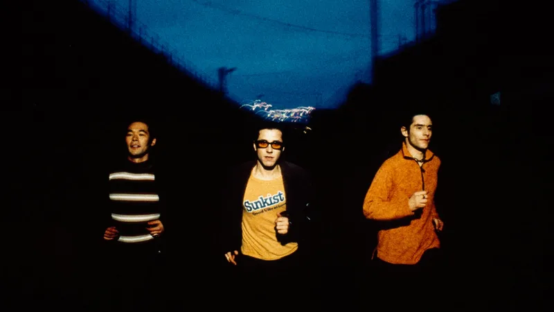 Feeder - Polythene Live