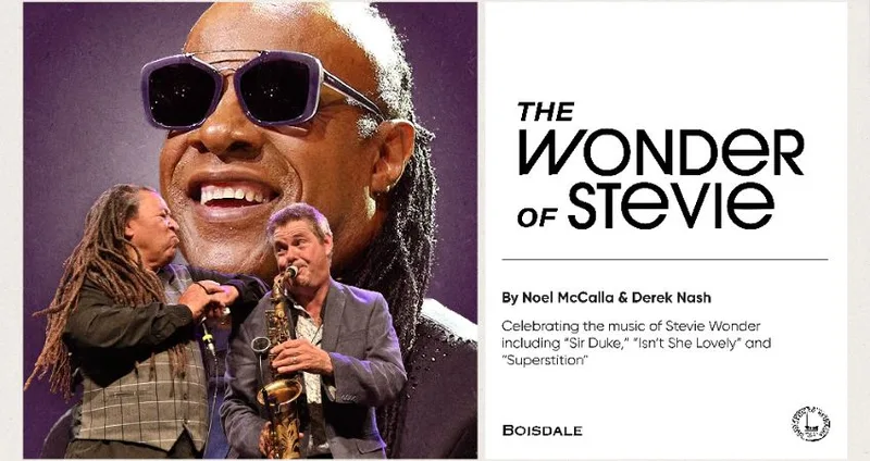 The Wonder of Stevie